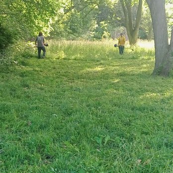 DH Tree Service - Before - Tree Services Near Me - La Vista, Nebraska DH Tree Service - Before - Tree Services Near Me - La Vista, Nebraska