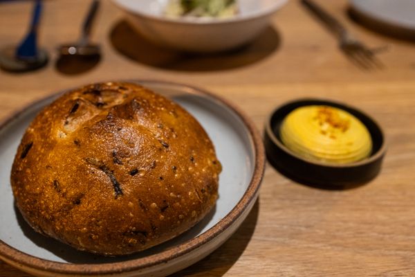 Oyster Oyster by null