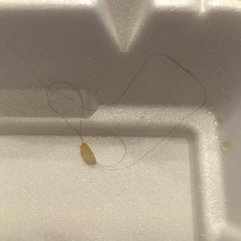 Panda Express - hair in my food and they could care less. - Chinese Near Me - Clermont, Florida Panda Express - hair in my food and they could care less. - Chinese Near Me - Clermont, Florida