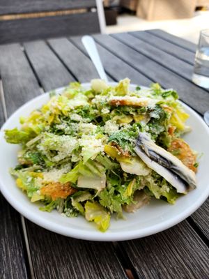 Photo of Rodi Italian - Loveland, OH, US. cesare salad with white anchovies