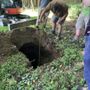 Hopewell Septic Pumping