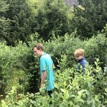 Bybee Farms - Great for all ages! - Farms Near Me - North Bend, Washington