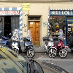 Lollo