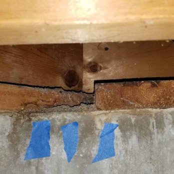 Assure Home Inspection - Missed active carpenter ant colony in rafters of basement. Found this when moving in. Very visible to any competent inspector - Home Inspectors Near Me - New Lenox, Illinois Assure Home Inspection - Missed active carpenter ant colony in rafters of basement. Found this when moving in. Very visible to any competent inspector - Home Inspectors Near Me - New Lenox, Illinois