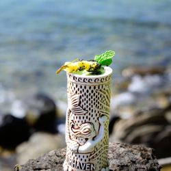 Sea House Restaurant - Frozen Coconut Mojito