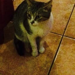 Guantanamo - Minna "husets" kat