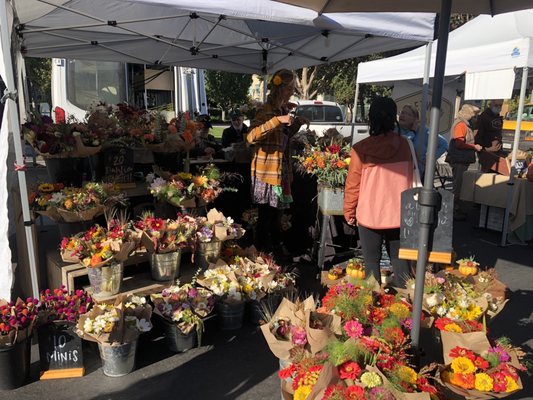 Hayward Farmers Market by null