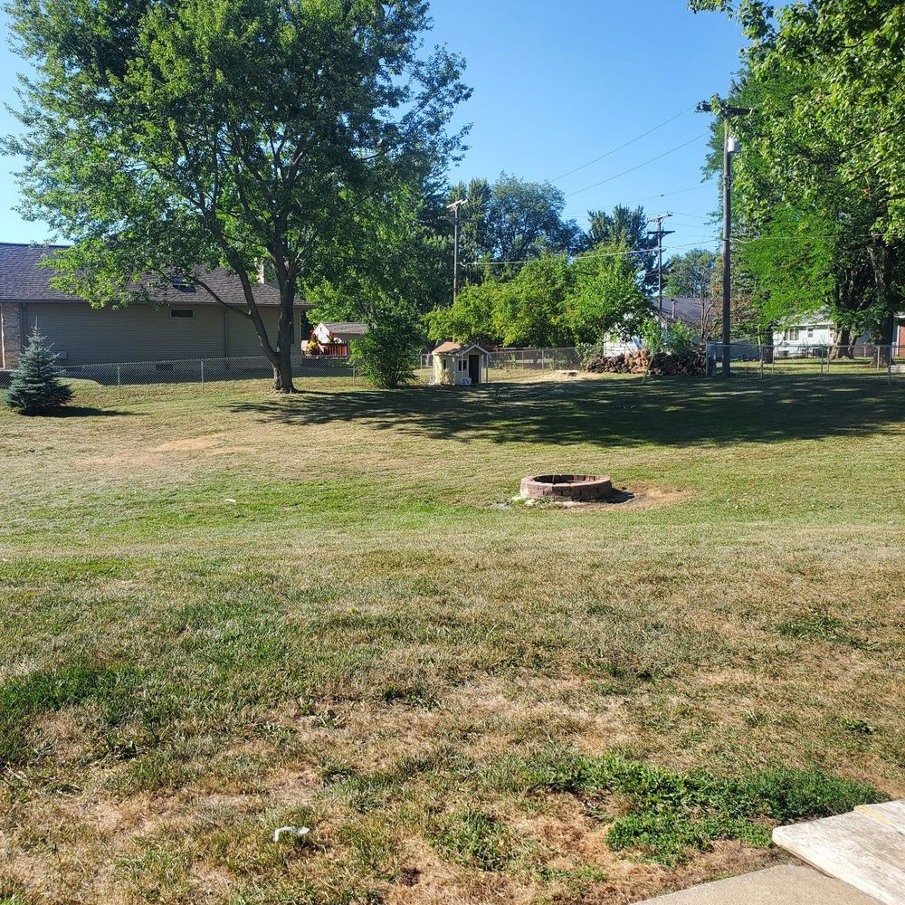 Arrow Tree Service - After - Tree Services Near Me - Petersburg, Michigan