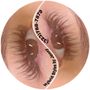 Photo of Jenny Lashes & 3D Microblading