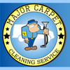 Major Carpet Cleaning Services gift card