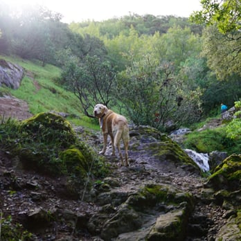 Indian Valley Open Space Preserve - Too of the waterfall. - Parks Near Me - Novato, California