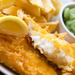 Posh Fish