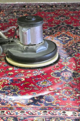 Photo of Hadeed Carpet - Alexandria, VA, US. Rotary scrub.
