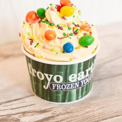 Froyo Earth