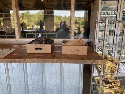 Fonta Flora Brewery - Whippoorwill Farm by null
