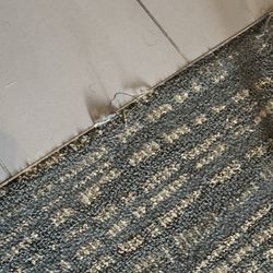 Residence Inn by Marriott Fort Lauderdale Coconut Creek - Carpet in room