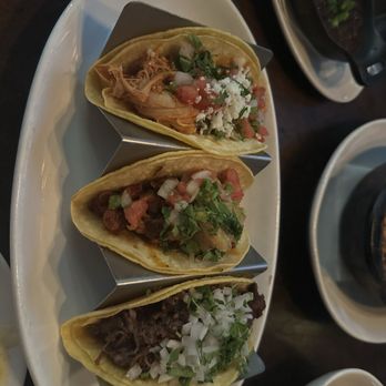 Wild Salsa - Chicken Tinga Tacos Al Pastor Tacos Beef Barbacoa Tacos - Mexican Near Me - Dallas, Texas