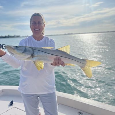 James Gibson Charters