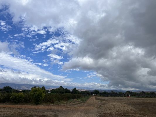 Summerset Farm by null