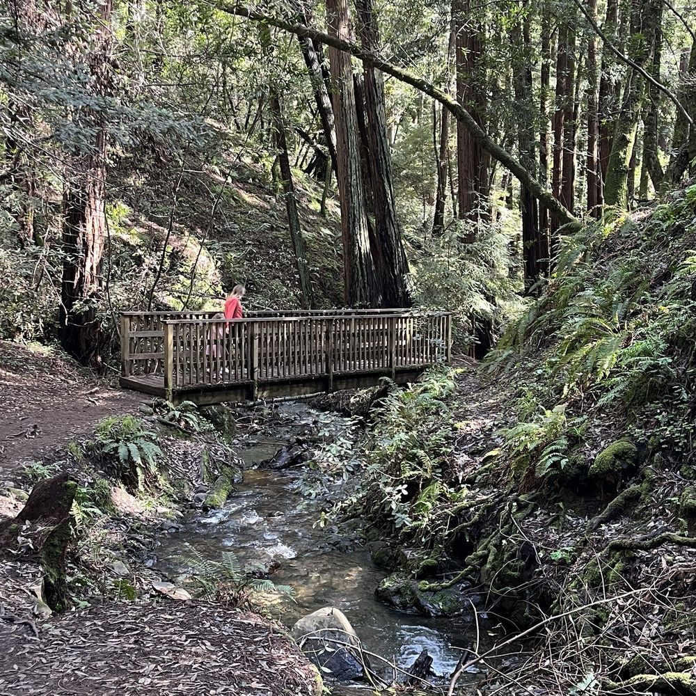 Cascade Park - Parks Near Me - Mill Valley, California