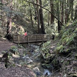 Cascade Park