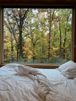 Postcard Cabins Piney Woods, Outdoor Collection by Marriott Bonvoy by null