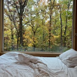 Postcard Cabins Piney Woods, Outdoor Collection - Outdoor view from our getaway cabin