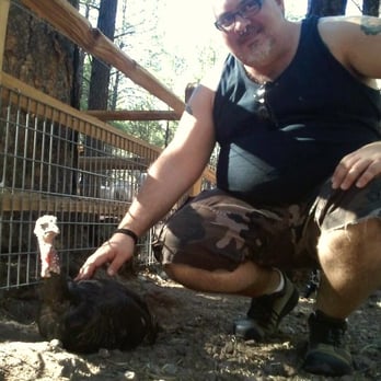 Bearizona - It's turkey lurkey time! - Zoos Near Me - Williams, Arizona Bearizona - It's turkey lurkey time! - Zoos Near Me - Williams, Arizona