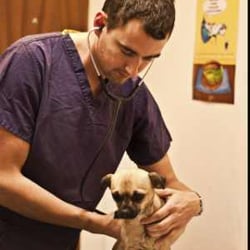 Celia Hammond Animal Trust