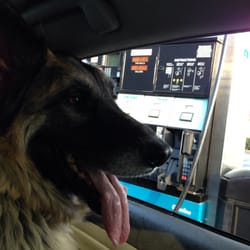 Valero Corner Store 3736 - Taking in the sights