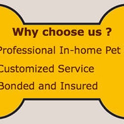 Pet Pals Pet Sitting