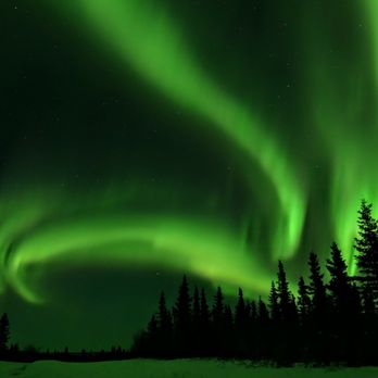 SkyFire In Focus Tours - Tours Near Me - Fairbanks, Alaska