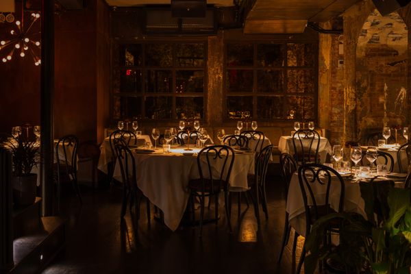 Tucci New York City by null