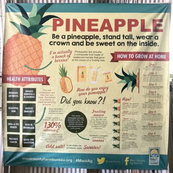 Maui Pineapple Tour - Tours Near Me - Makawao, Hawaii