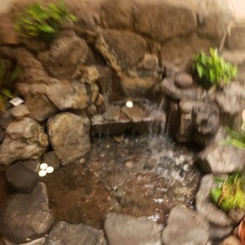 Mangiamo By 604 - Rocky water. - Italian Near Me - Honolulu, Hawaii Mangiamo By 604 - Rocky water. - Italian Near Me - Honolulu, Hawaii
