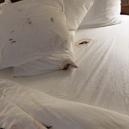 Bloody mess Bloody mess