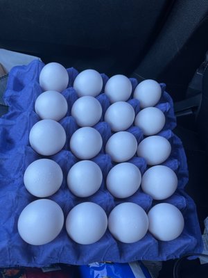 Photo of Hilliker's Fresh Eggs - Lakeside, CA, US. Always love driving over here to get fresh eggs!!