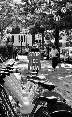 Old Town Farmers' Market by null