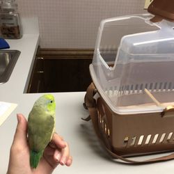Animal Health Center
