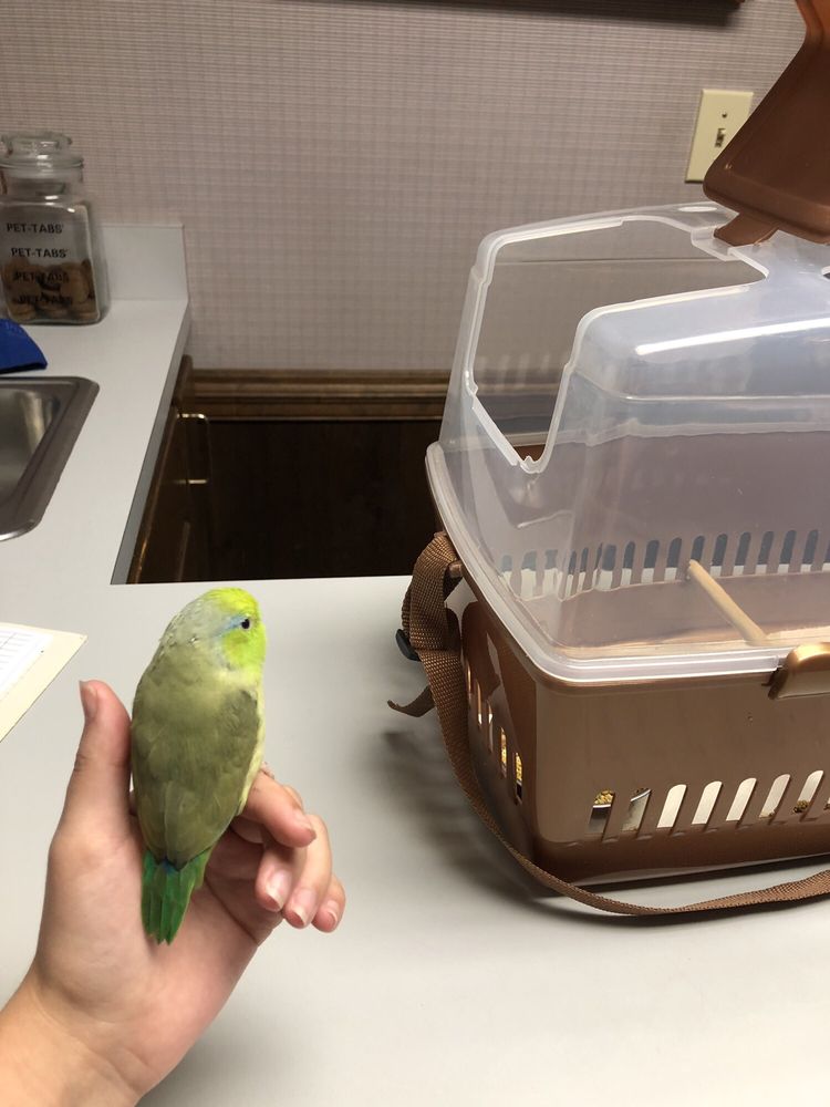 ANIMAL HEALTH CENTER Updated August 2024 1520 2nd Ave, Opelika, Alabama Veterinarians