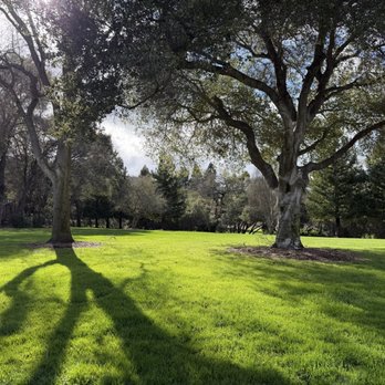 Moller Park - Redwood trees and big lawn - Parks Near Me - Pleasanton, California