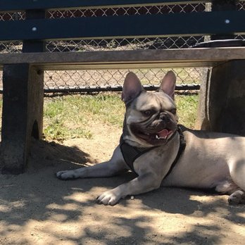 Eden Greenway Dog Park - Dog Parks Near Me - Hayward, California