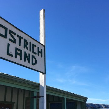Ostrichland USA - Welcome sign - Attraction Farms Near Me - Solvang, California