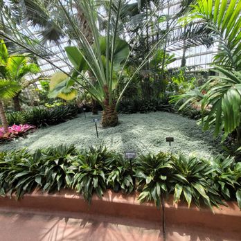 Garfield Park Conservatory - Parks Near Me - Chicago, Illinois Garfield Park Conservatory - Parks Near Me - Chicago, Illinois