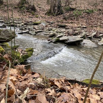East Fork State Park - Baby creek fall and creek plus leaves and naked trees - Hiking Near Me - Bethel, Ohio