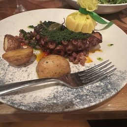 Octopus Octopus