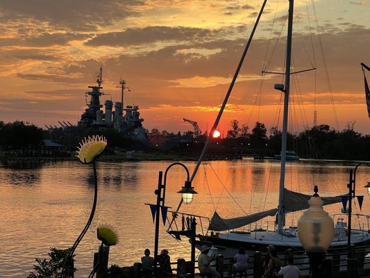 Floriana Wilmington by null