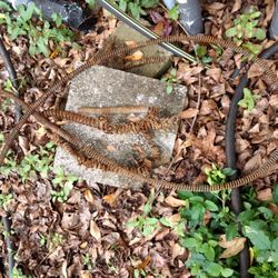 Quality Plumbing of Gainesville - This was what  Quality Plumber left behind