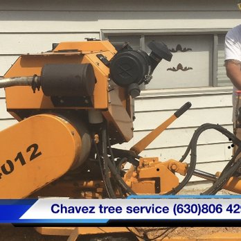 Chavez Tree Service - Chavez service - Tree Services Near Me - Lisle, Illinois Chavez Tree Service - Chavez service - Tree Services Near Me - Lisle, Illinois