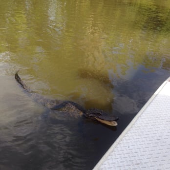 Airboat Adventures - Boat Tours Near Me - Lafitte, Louisiana Airboat Adventures - Boat Tours Near Me - Lafitte, Louisiana